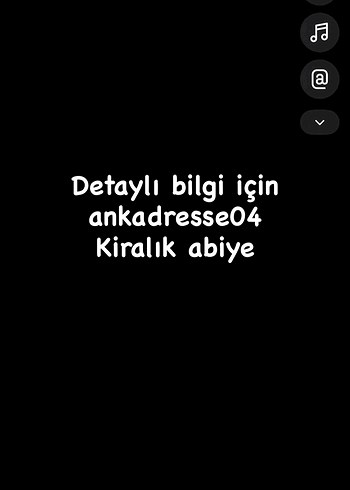 Nakışlı Drapeli Uzun Straplez Kadın Abiye Elbise - Görsel 3