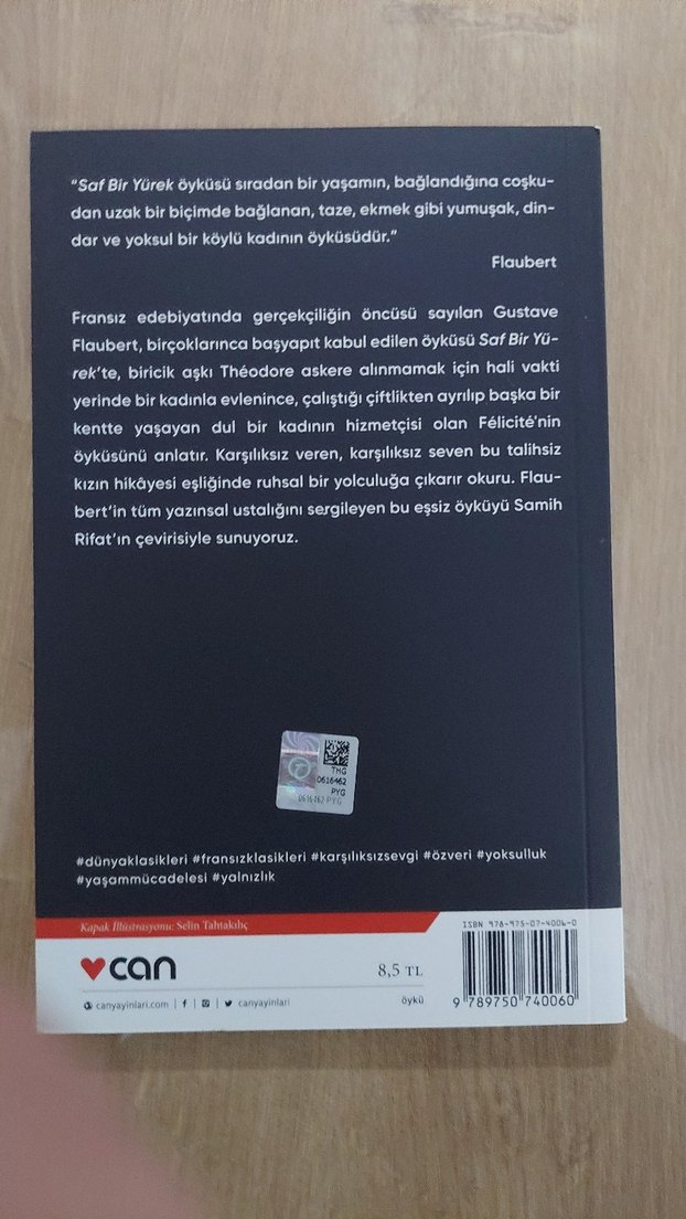 Saf Bir Yürek - Gustave Flaubert - Görsel 2