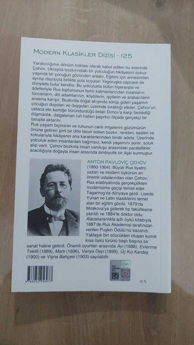 Bozkır - Anton Çehov - Görsel 2