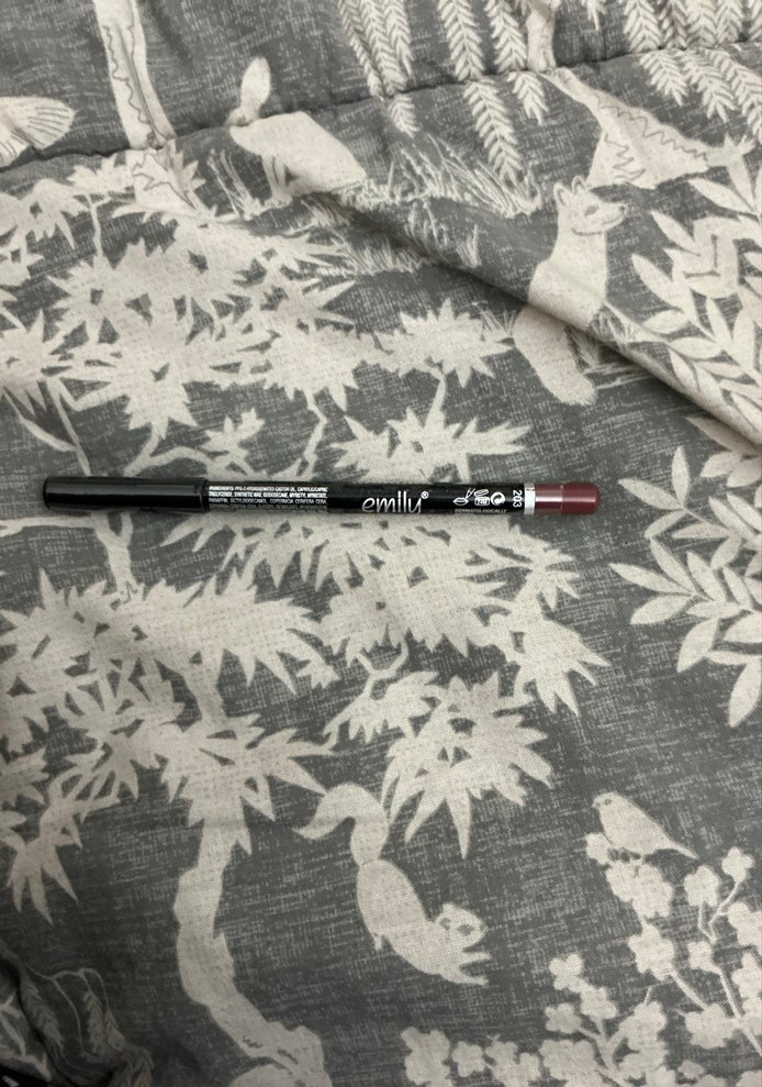 Emily 203 dudak kalemi ve leopar desenli takma tırnak - Görsel 3