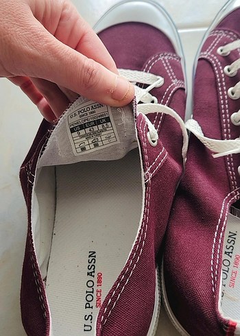 Bordo U.S. Polo Casual Erkek Sneaker - Görsel 6