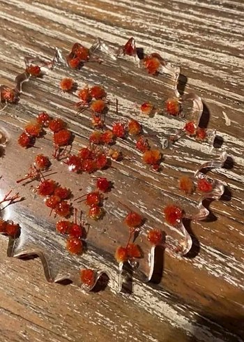 tepsi altlik epoksi ürünleri