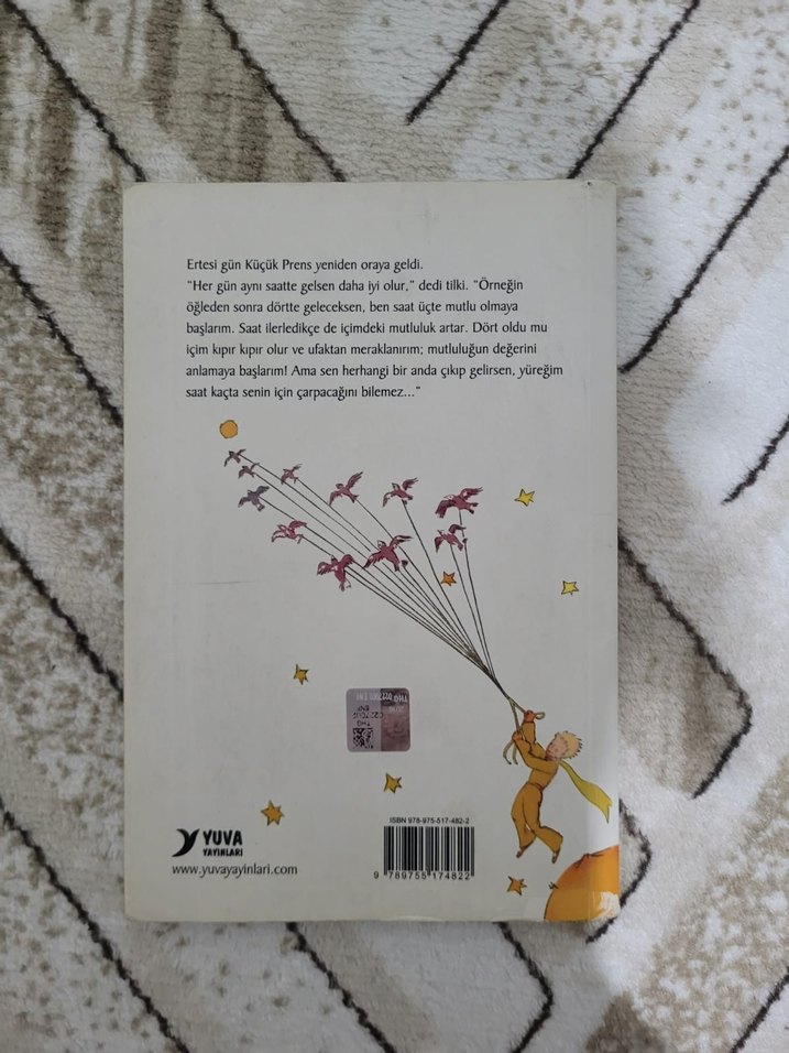 Küçük Prens - Görsel 2