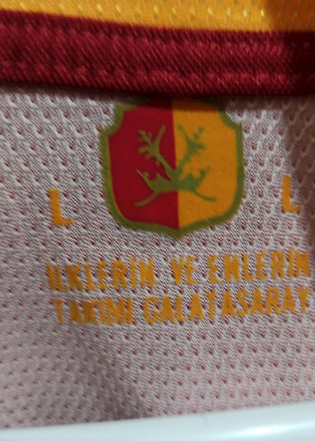 Galatasaray Kısa Kollu Erkek Forma - Görsel 2