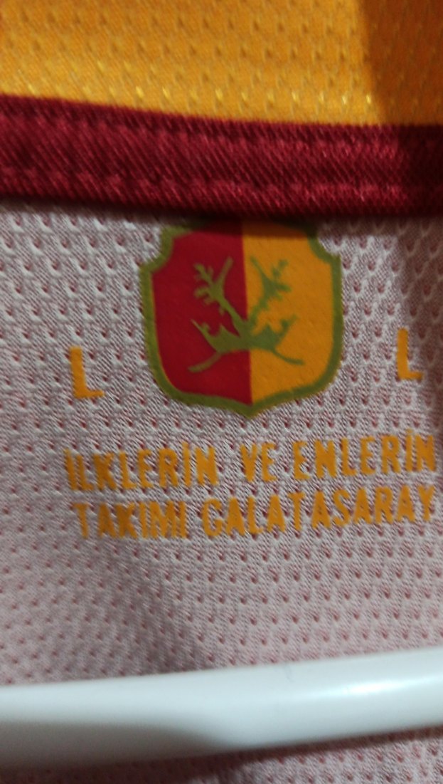 Galatasaray Kısa Kollu Erkek Forma - Görsel 2