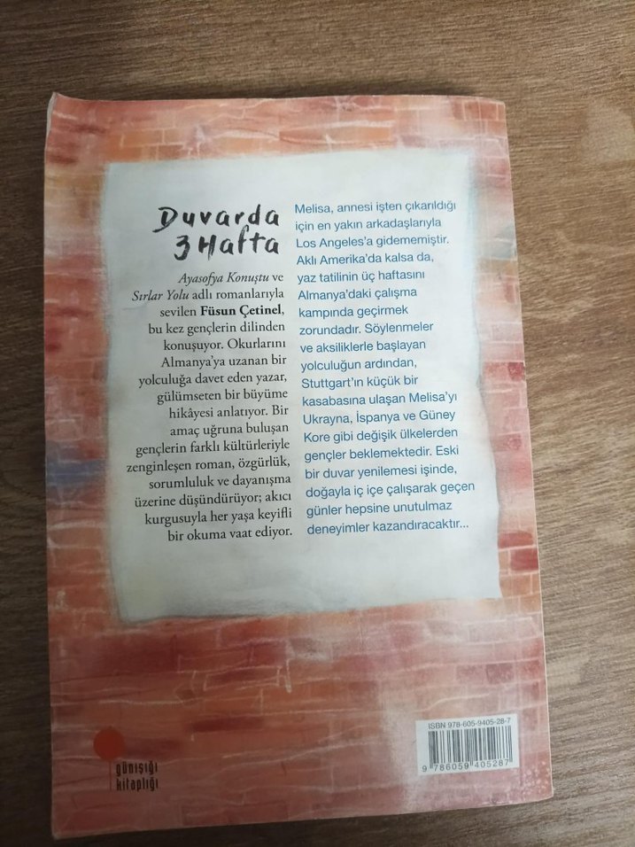 Duvarda 3 Hafta - Füsun Çetinel - Görsel 2