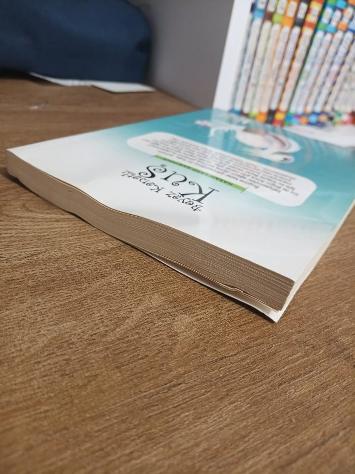 Beyaz Kanatlı Kuş - Hasan Latif Sarıyüce - Görsel 3