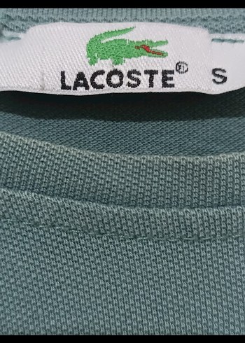 Lacoste Tişört - Görsel 4