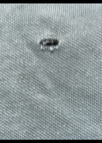 Lacoste Tişört - Görsel 5