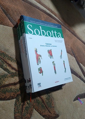 Sobotta Anatomi 4lü set Ciltli - Görsel 6