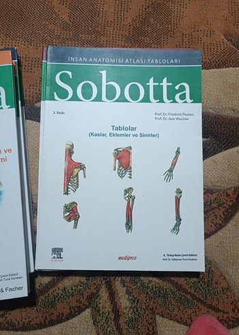 Sobotta Anatomi 4lü set Ciltli - Görsel 2