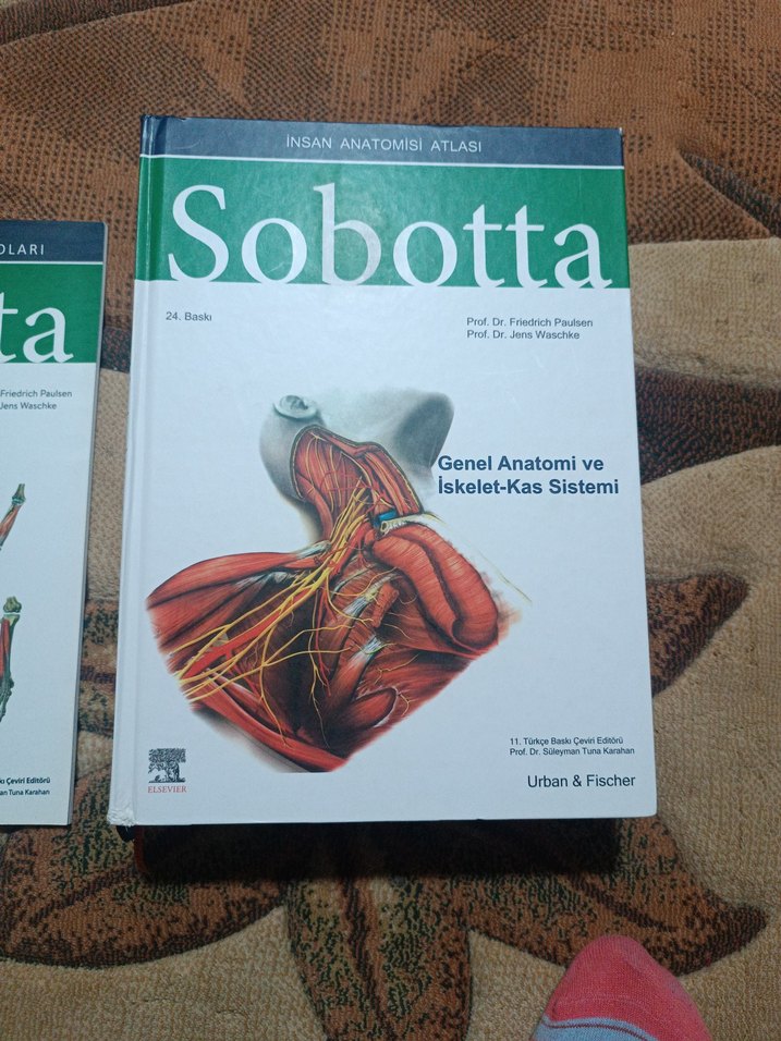 Sobotta Anatomi 4lü set Ciltli - Görsel 5