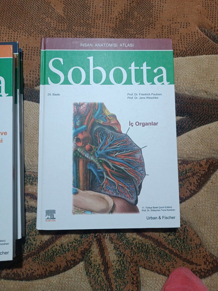 Sobotta Anatomi 4lü set Ciltli - Görsel 3