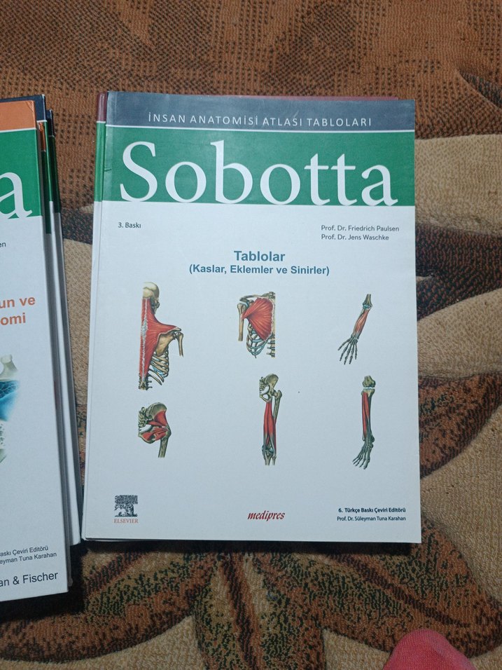 Sobotta Anatomi 4lü set Ciltli - Görsel 2