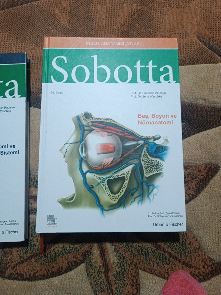 Sobotta Anatomi 4lü set Ciltli - Görsel 4