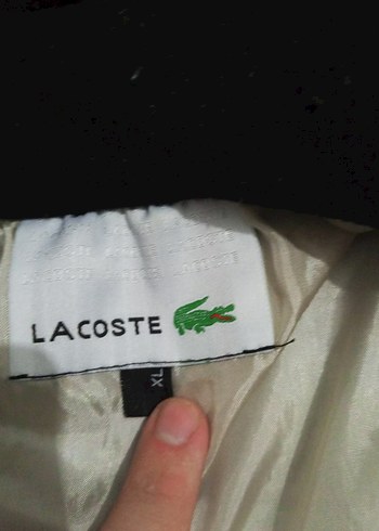 Siyah Erkek Günlük Yüksek Yaka Mont - Görsel 4