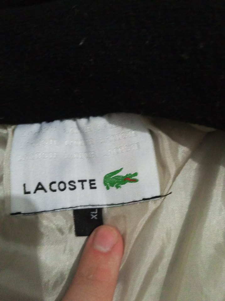 Siyah Erkek Günlük Yüksek Yaka Mont - Görsel 4