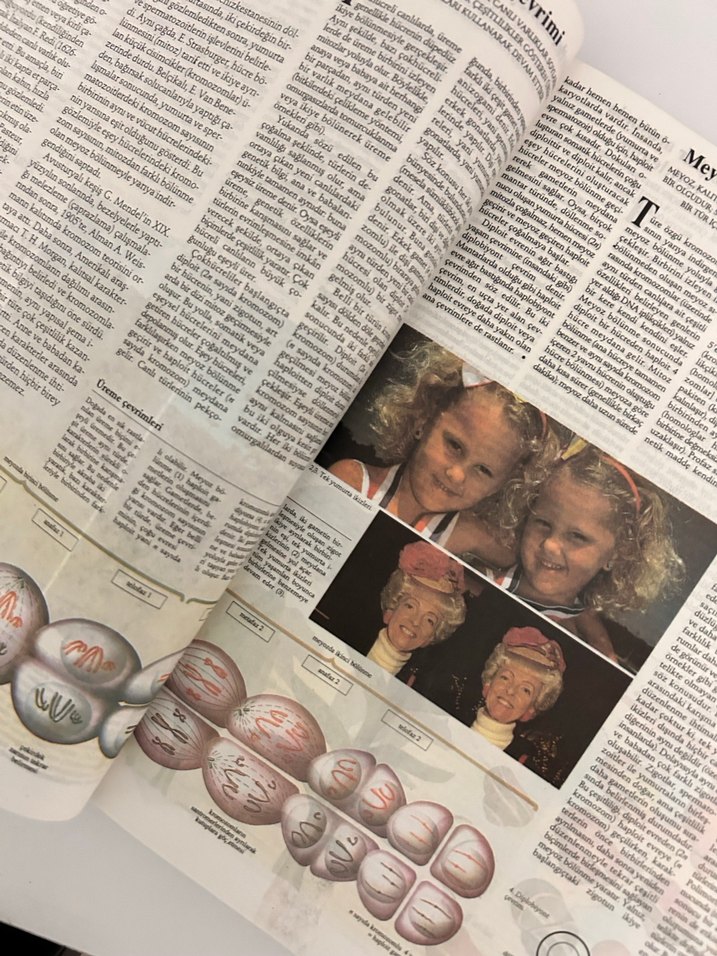 THEMA Larousse 4 Cilt - Görsel 4