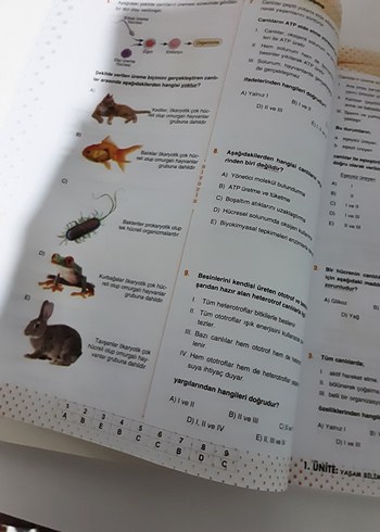 9. Sınıf Biyoloji Soru Bankası Video Çözümlü biyotik yayınları - Görsel 5