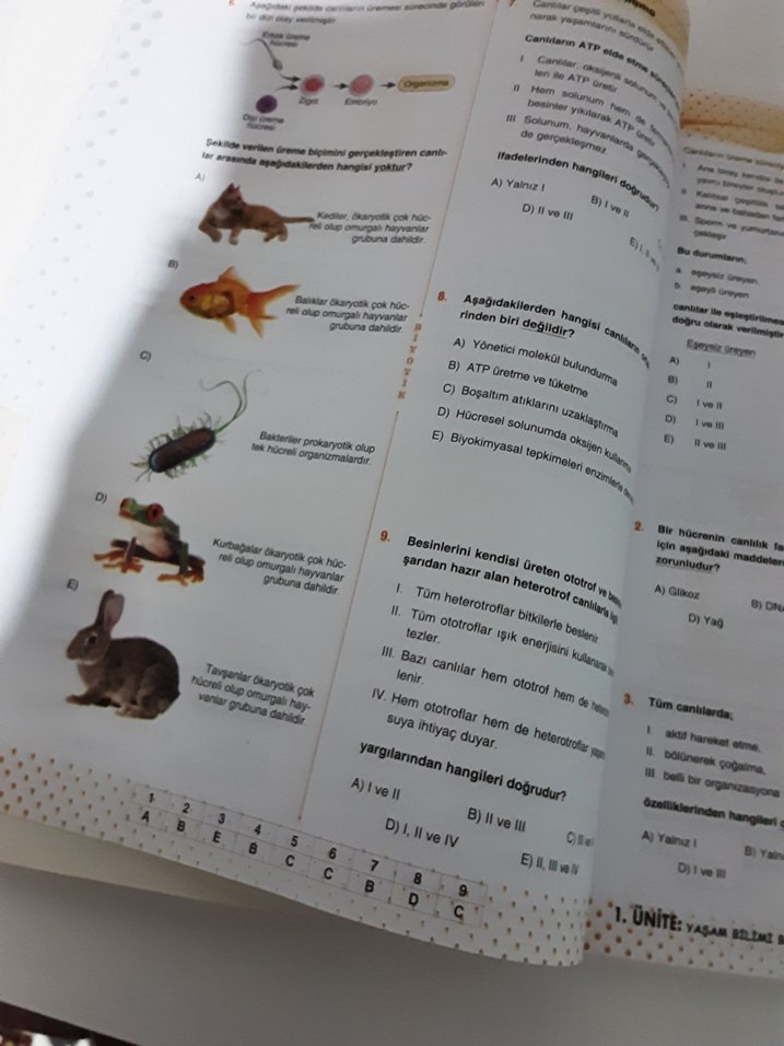 9. Sınıf Biyoloji Soru Bankası Video Çözümlü biyotik yayınları - Görsel 5