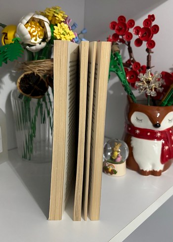 Penelope Douglas - Punk 57 Roman - Görsel 4