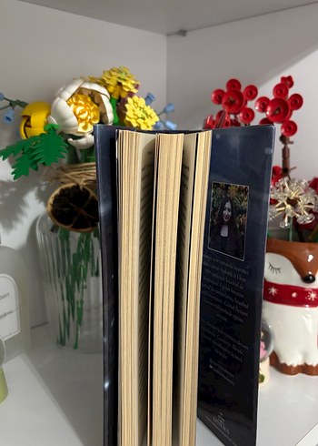 Çemberin Altında - Gamze Aydeniz - Görsel 5