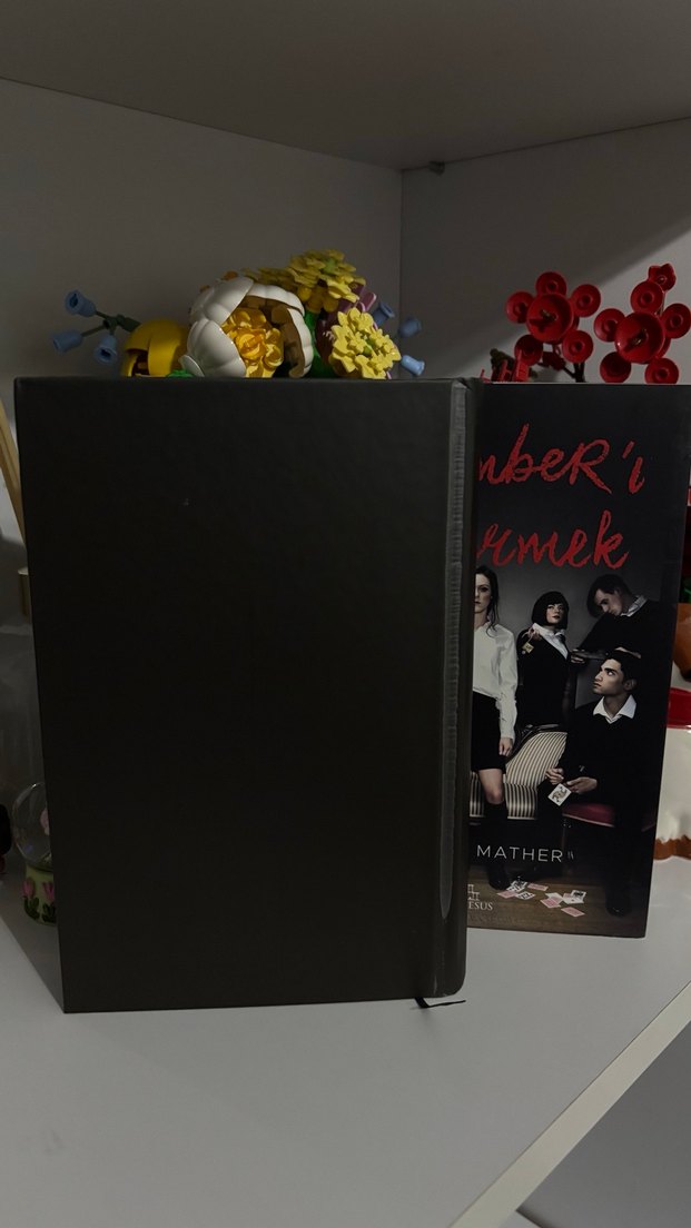 November'ı Öldürmek - Adriana Mather - Görsel 5