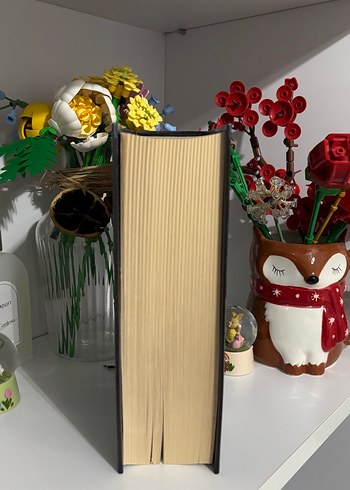 Sokak Nöbetçileri II - Aslı Arslan - Görsel 3