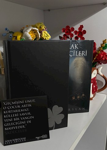 Sokak Nöbetçileri II - Aslı Arslan - Görsel 4