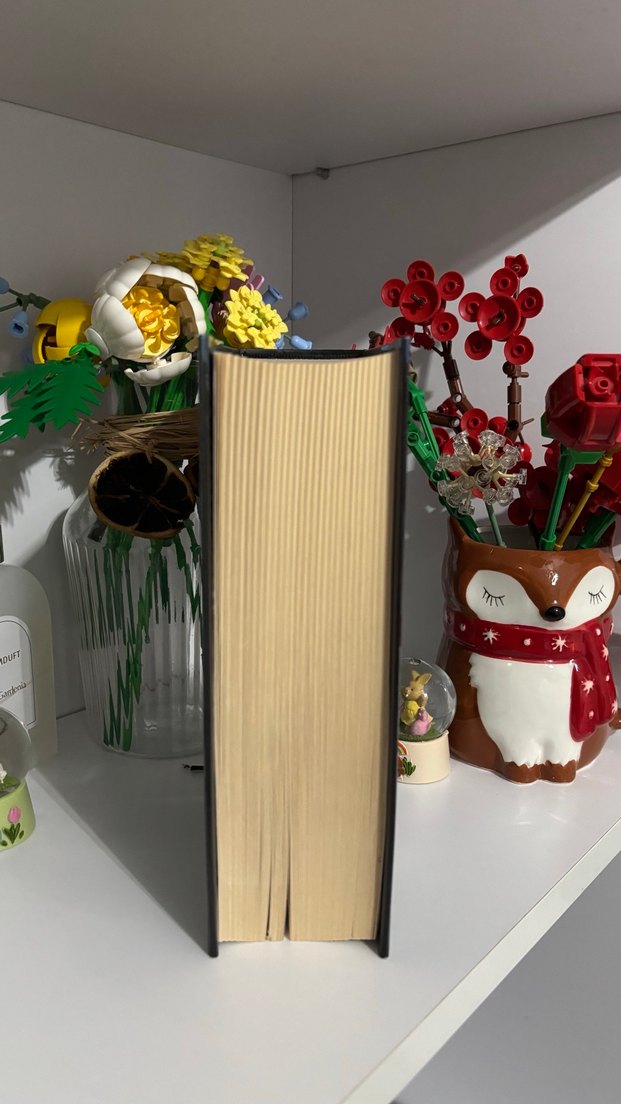 Sokak Nöbetçileri II - Aslı Arslan - Görsel 3