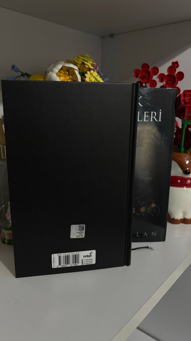 Sokak Nöbetçileri II - Aslı Arslan - Görsel 5