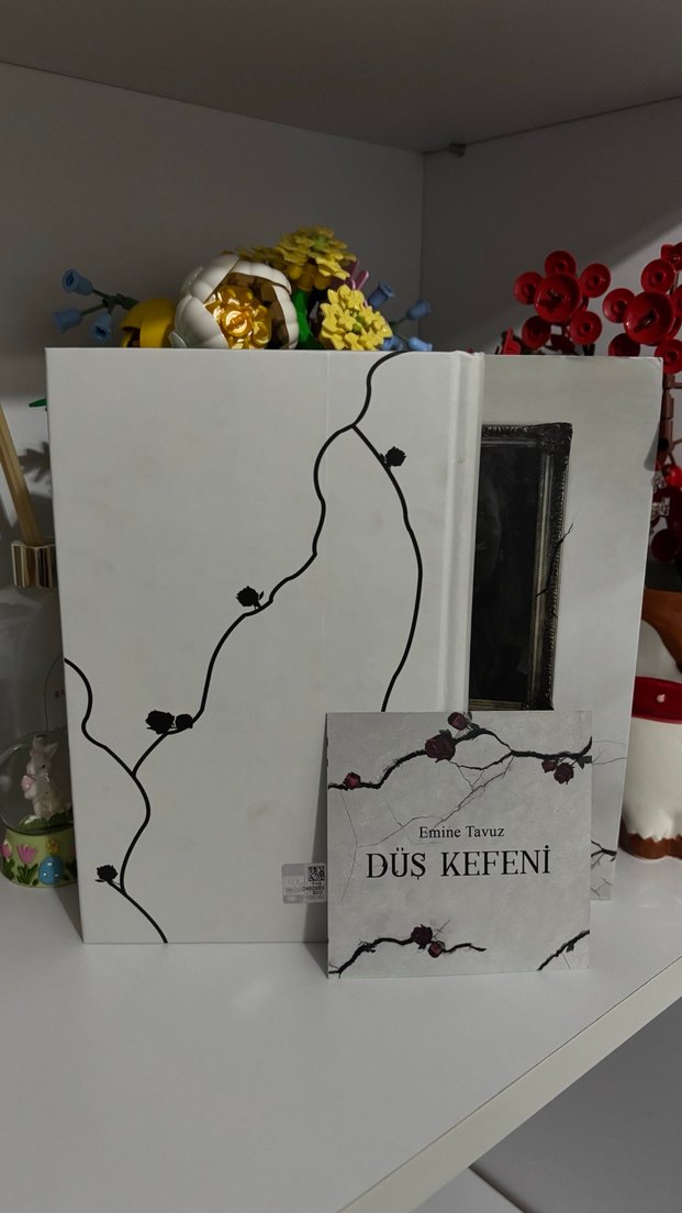 Düş Kefeni - Emine Tavuz - Görsel 4
