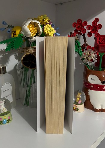 Lukovdan Sevgiler - Mariana Zapata - Görsel 3