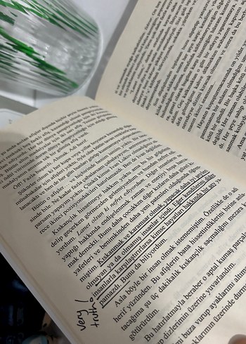 Lukovdan Sevgiler - Mariana Zapata - Görsel 5