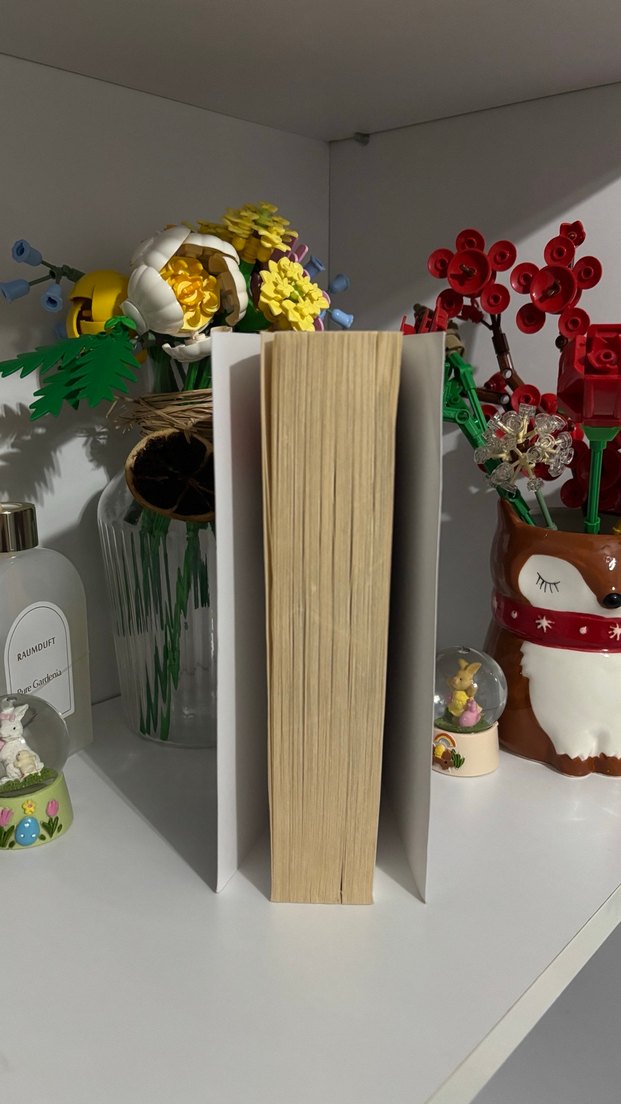 Lukovdan Sevgiler - Mariana Zapata - Görsel 3