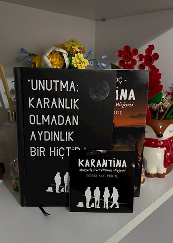 Karantina - Beyza Alkoç - Görsel 2