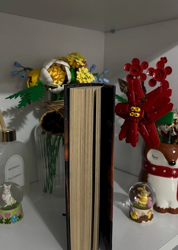 Karantina - Beyza Alkoç - Görsel 4