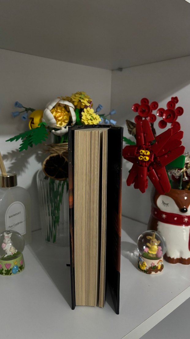 Karantina - Beyza Alkoç - Görsel 4