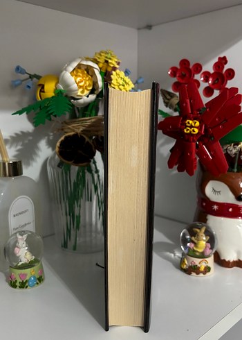 Sonat - Işılsu Gültekin - Görsel 6