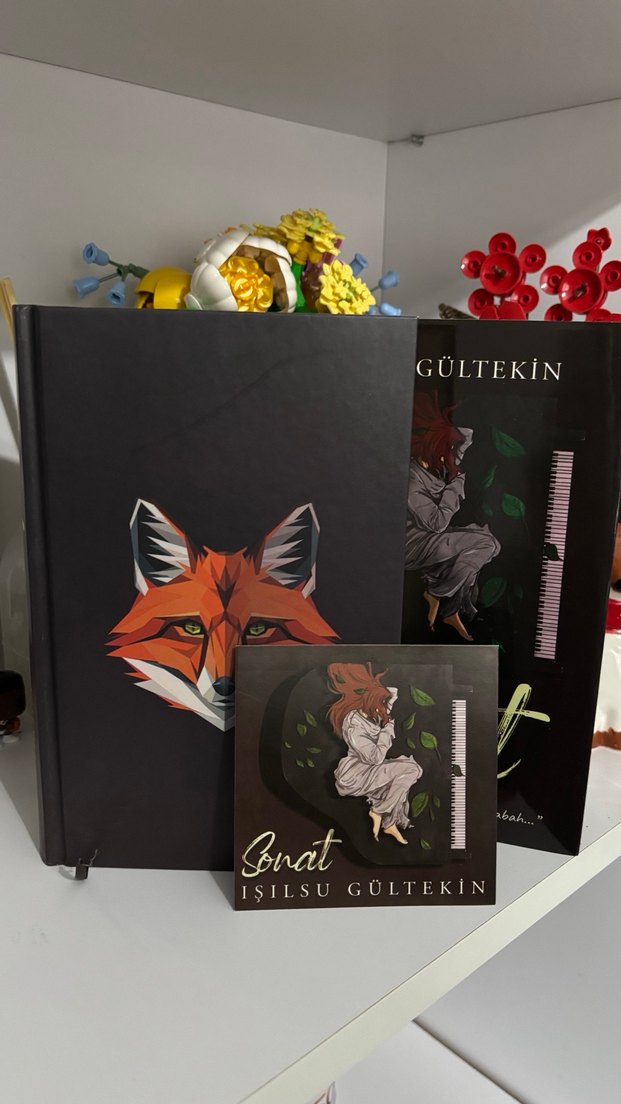 Sonat - Işılsu Gültekin - Görsel 2