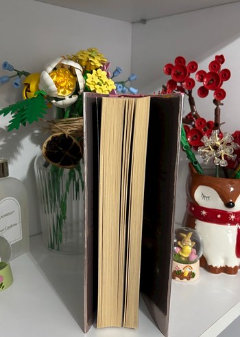 Bir Aşk Masalı - Ahmet Ümit - Görsel 2