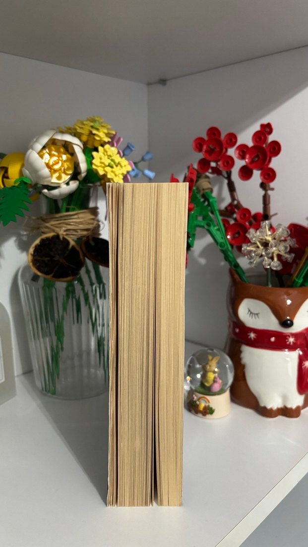 Krallığı Öldürmek - Alexandra Christo - Görsel 3