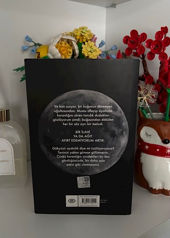 Beyza Aksoy - Siyah Kuğu - Görsel 2