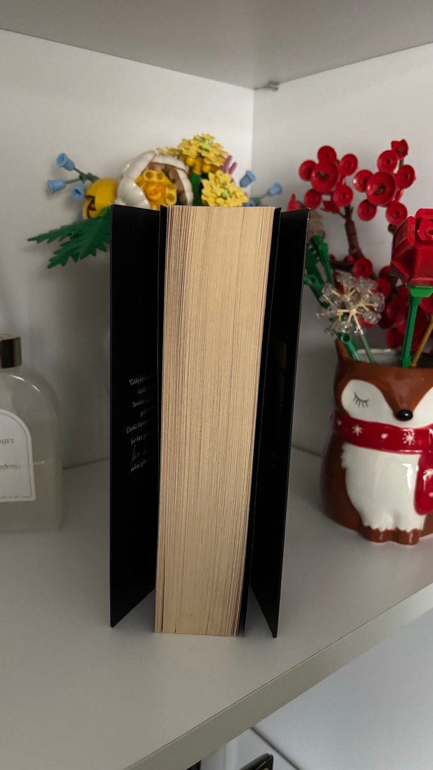 Beyza Aksoy - Siyah Kuğu - Görsel 3