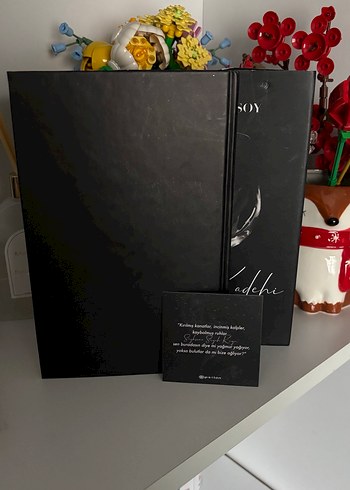 Ruh Kadehi - Beyza Aksoy - Görsel 5