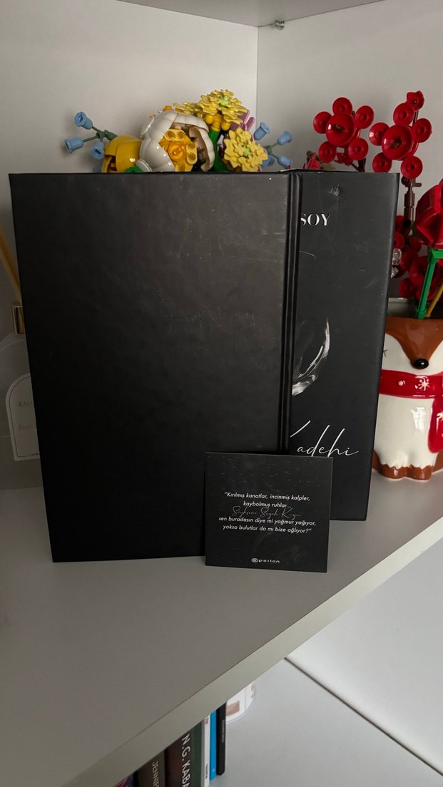 Ruh Kadehi - Beyza Aksoy - Görsel 5