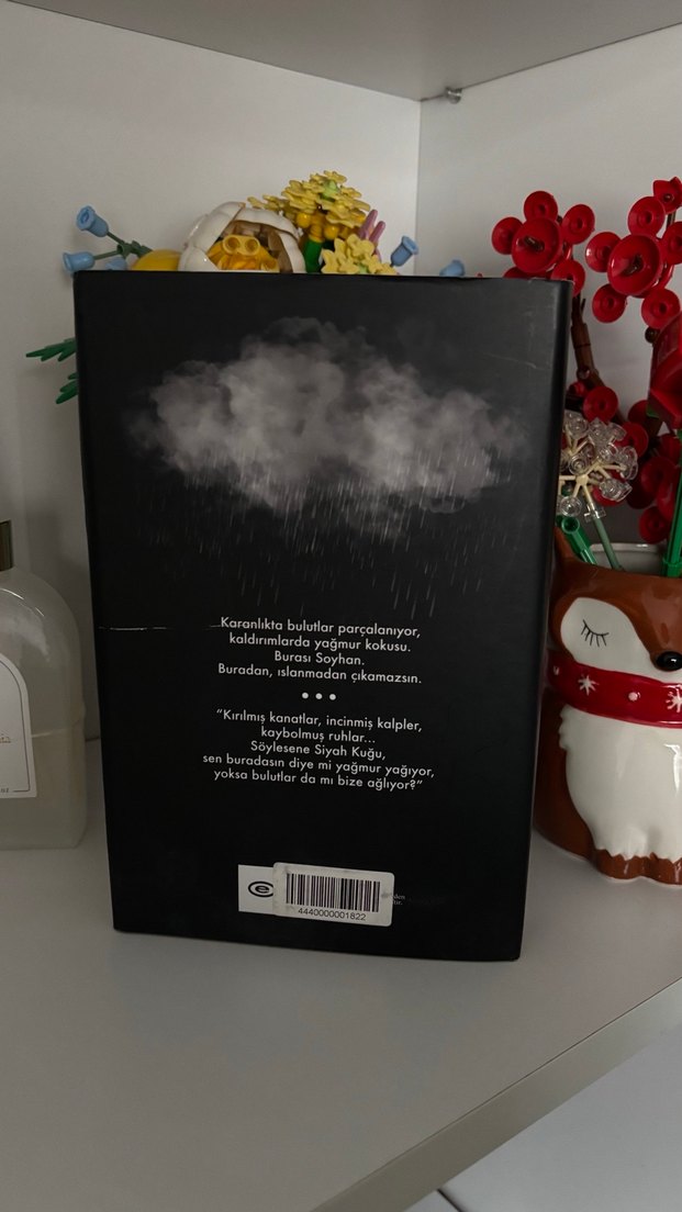 Ruh Kadehi - Beyza Aksoy - Görsel 2