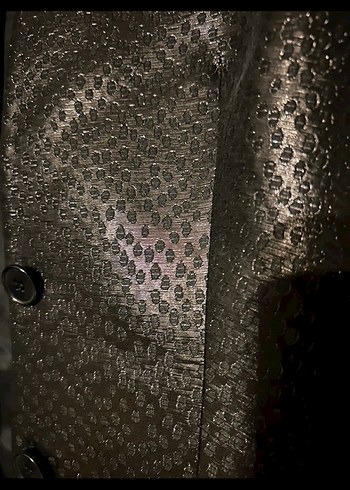 Siyah  Network Yılan Desenli  Kadın Blazer Ceket - Görsel 2