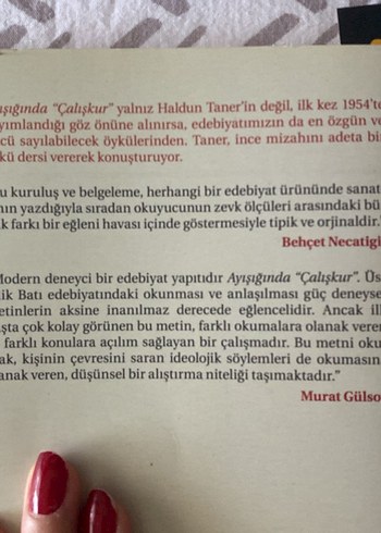 Ayışığında Çalışkur - Haldun Taner - Görsel 2
