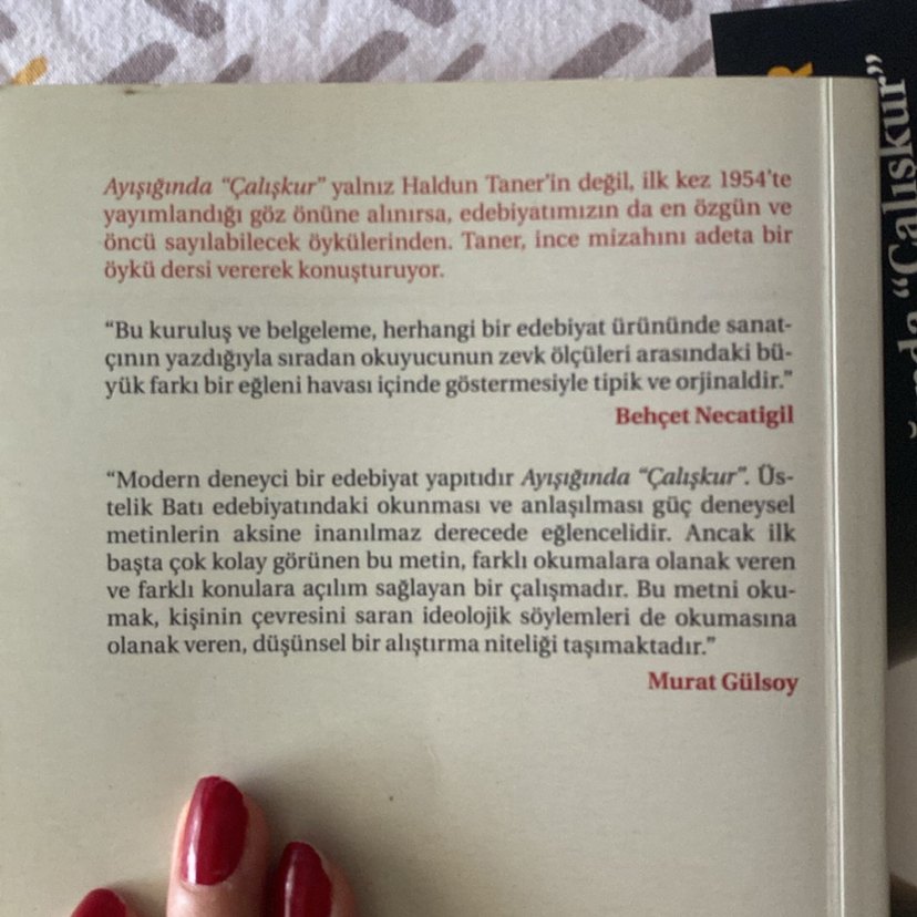 Ayışığında Çalışkur - Haldun Taner - Görsel 2